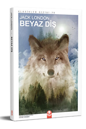 Jack London Seti 6 Kitap