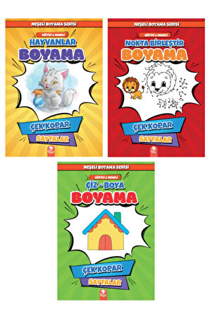 Neşeli Boyama Serisi - Renkli (3 Kitap)