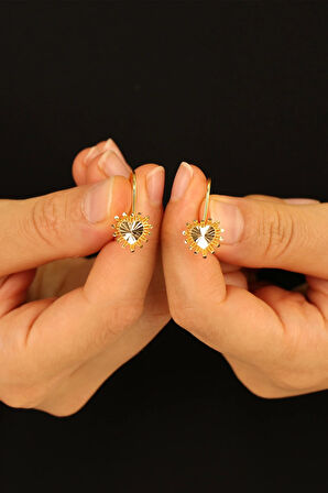 14 Ayar Kalp Altın Küpe