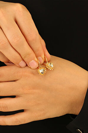 14 Ayar Kalp Altın Küpe