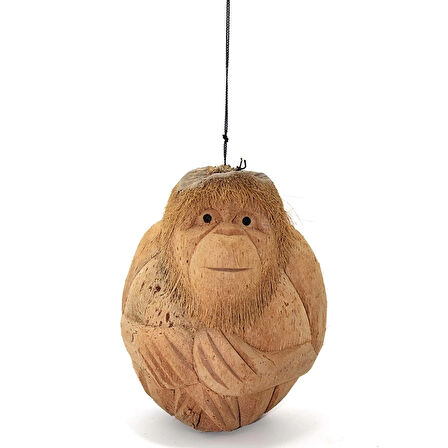 Coconat Maymun Büstü 3Marakas-7
