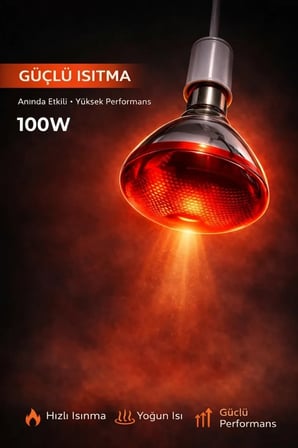 100W Isıtıcı Ampul Kırmızı Isı Lambası Civciv Kümes Kuluçka E27 Duy Isıtma Ampulü