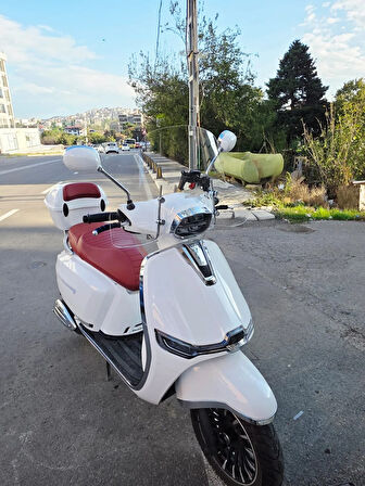 MOTOCAM Küba MT 50 Pro Plus Ön Cam 2024-2025 Model 43cm Şeffaf Renkli 4mm ELCİKLİ APARATSIZDIR
