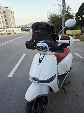 MOTOCAM Küba MT 50 Pro Plus Ön Cam 2024-2025 Model 43cm Siyah Renkli 4mm ELCİKLİ APARATSIZDIR