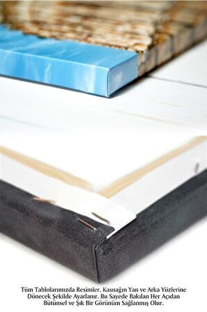 Soyut Dekoratif Vintange Bohe Bohem Boho Art Vektorel Abstract Minimalist Canvas Kanvas Tablo