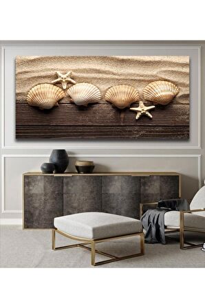 Deniz Kabukları Ve Deniz Yıldızı Kanvas Kanvas Canvas Tablo
