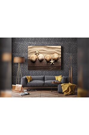 Deniz Kabukları Ve Deniz Yıldızı Kanvas Kanvas Canvas Tablo