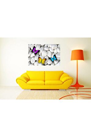 Beyaz Çakıl Taşları Renkli Kelebekler Kanvas Kanvas Canvas Tablo