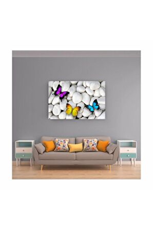 Beyaz Çakıl Taşları Renkli Kelebekler Kanvas Kanvas Canvas Tablo