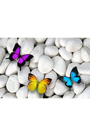 Beyaz Çakıl Taşları Renkli Kelebekler Kanvas Kanvas Canvas Tablo