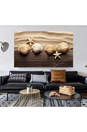 Deniz Kabukları Kanvas Kanvas Canvas Tablo