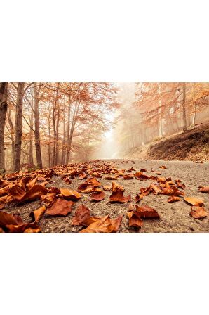 Sonbahar Yapraklar Manzara Kanvas Kanvas Canvas Tablo