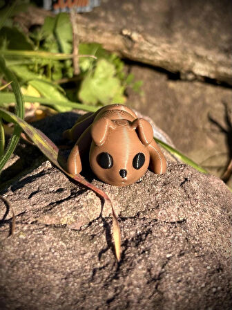 Oyuncak Köpek - Sadakatin ve Neşenin Sevimli Bekçisi! 🐕❤️✨ 3D Hareketli Organik Model - Orta Boy