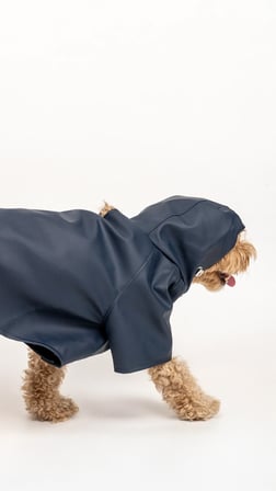 PETİZAN Köpek Yağmurluk 
