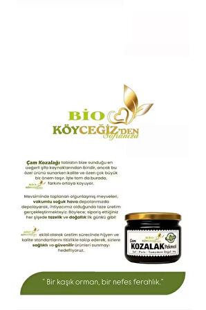 %100 Doğal Çam Kozalak Pekmezi | Katkısız, Ev Yapımı, Bağışıklık Güçlendirici