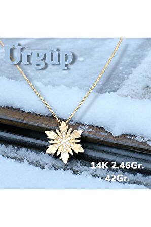 14AYAR 2.46Gram Altın Kartanesi kolye