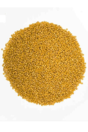 Sarı Darı Kuş Yemi 2 Kg
