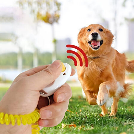 Köpek Eğitimi Için Clicker Köpeğinizi Kolayca Eğitin