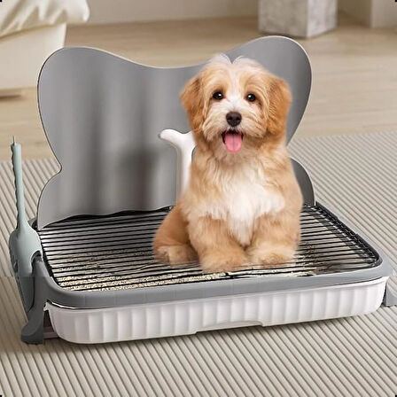 Kapalı Alan Köpek Tuvaleti