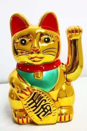 Şanslı Kedi