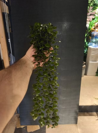 60 cm Sarkan Yapay Okaliptüs Çiçeği - Plastik Saksılı Sarkıt Bitki