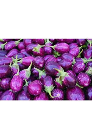 Tohum Mini Mor Patlıcan Tohum İthal Nadir Thayland Patlıcanı 5 Adet