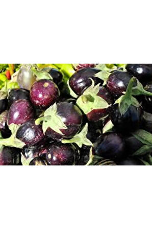 Tohum Mini Mor Patlıcan Tohum İthal Nadir Thayland Patlıcanı 5 Adet