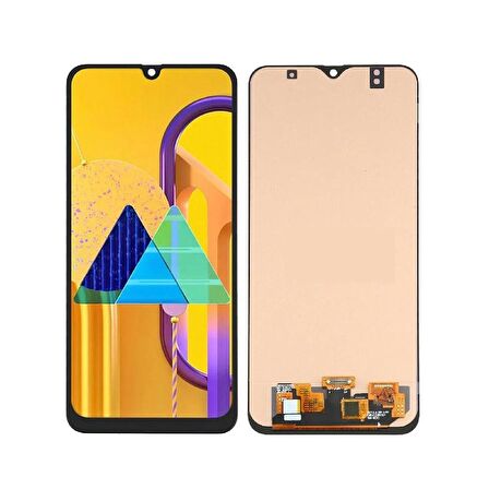 Samsung Galaxy M30S M307F ile Uyumlu Oled Ekran Dokunmatik