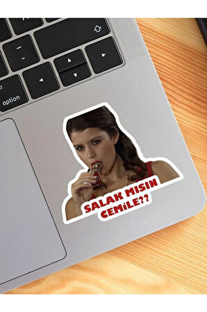 Aşk-ı Memnu Salak Mısın Cemile Laptop-notebook-tablet Sticker