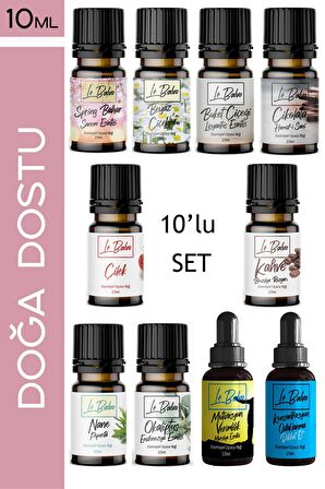 10'lu Set Uçucu Yağ Buhurdanlık Esansı Oda Kokusu Esansiyel Yağ Oda Difüzörü Esansı Buhur Yağı 10ml