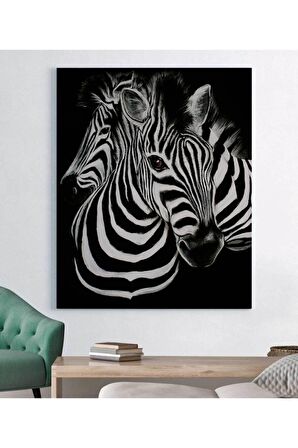 Zebra Dekoratif Kanvas Tablo