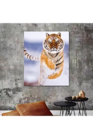 Aslan Leopar Kanvas Tablo
