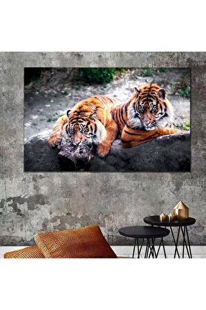 Aslan Leopar Kanvas Tablo