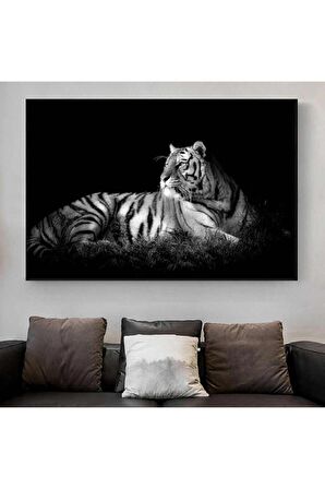 Aslan Leopar Kanvas Tablo