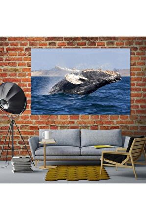 Dev Delfin Denizde Yüzmesi, Duvar Sanatı, Oturma, Yatak, Yemek, Ofis Duvarı Kanvas Tablo