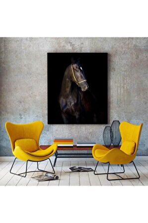 Siyah Güzel Akhalteke Atı Kanvas Tablo