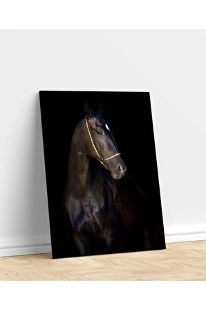 Siyah Güzel Akhalteke Atı Kanvas Tablo