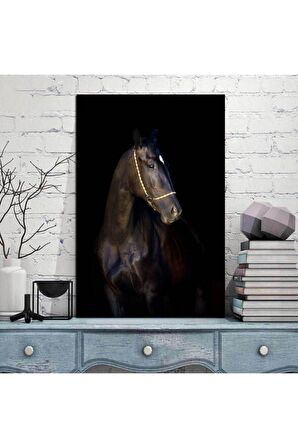 Siyah Güzel Akhalteke Atı Kanvas Tablo