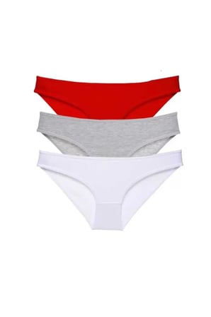 3 Adet Süper Eko Set Likralı Kadın Slip Külot 542