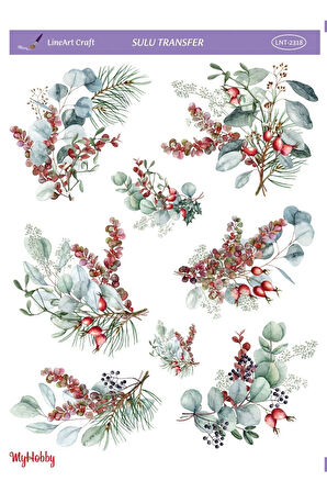 Sulu Transfer Lnt2318 25x35cm
