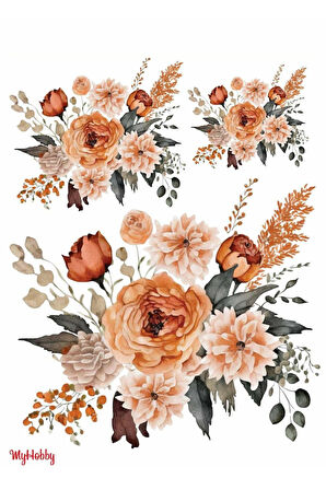 Sulu Transfer LNT240