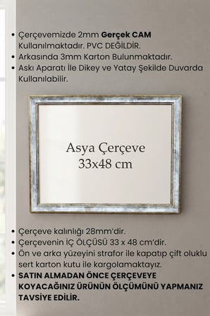 33 x 48 cm Londra Model Antik Desenli Camlı Oda Mutfak Salon Koridor Avukat Ruhsatnamesi Poster ve Resim Çerçevesi