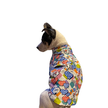 Gedyco Love Opps! İçi Penye Küçük Irk Köpek Yağmurluğu