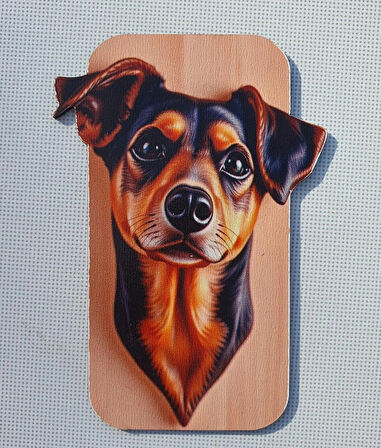  2 Adet 3D Görünümlü Köpek Magnet 6 x 9 cm