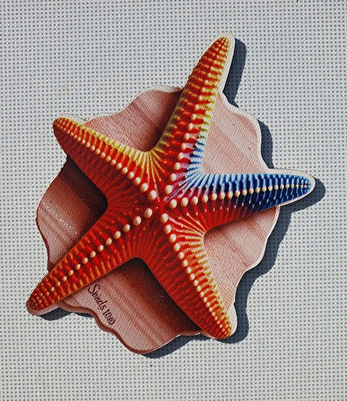 2 Adet 3D Görünümlü Deniz Yıldızı Magnet 6 x 9 cm