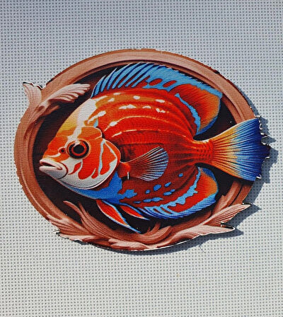 2 Adet 3D Görünümlü Balık V3 Magnet 6 x 9 cm