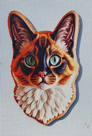 2 Adet 3D Görünümlü Kedi V2 Magnet 6 x 9 cm