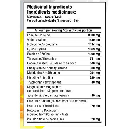 Mammoth EAA9 Performance EAA + BCAA Formula BCAA Blend High Leucine for Muscle Recovery Electrolytes