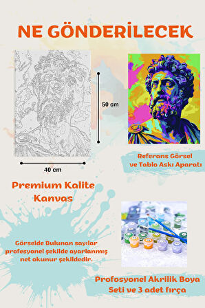 Sayılarla Boyama Seti Numaralı Tuval Fırça Boya MARCUS 40X50 Cm