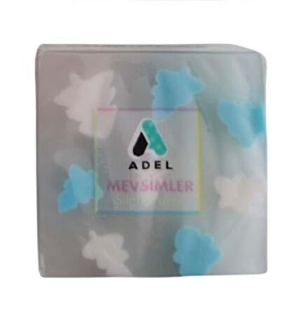 Mevsimler Silgi 1 adet